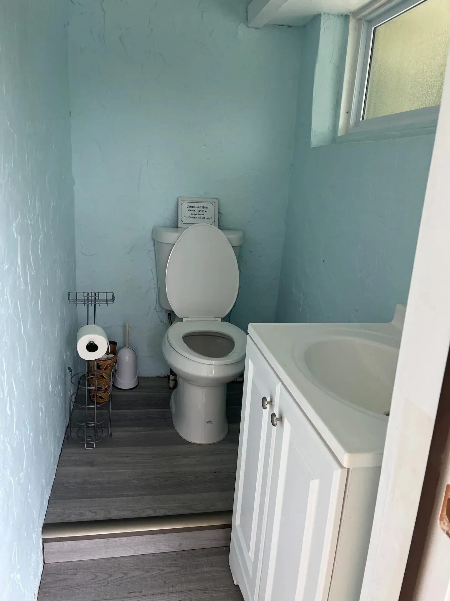 A bathroom with a toilet a sink and a window