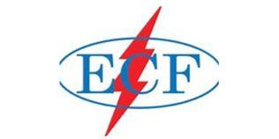 The ecf logo has a lightning bolt in the middle of it.