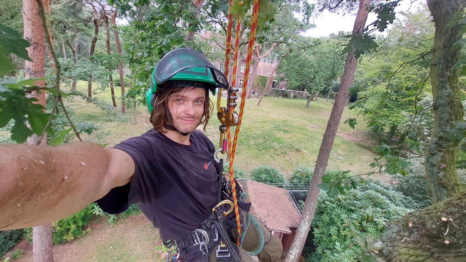 Een man in veiligheidsuitrusting zit hoog in een boom en maakt een selfie. Hij draagt ​​een helm en houdt uitrusting vast; op de achtergrond is weelderig groen.