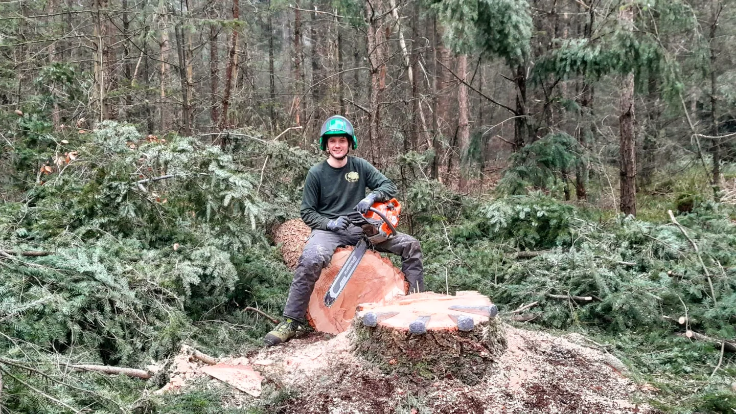 Een persoon in groene werkkleding zit met een kettingzaag op een boomstronk in een bos.