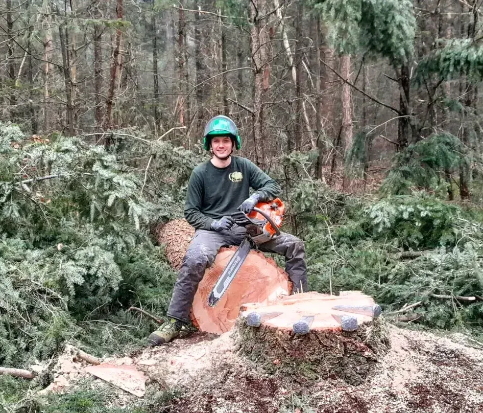 Een persoon met een kettingzaag zit op een boomstam in een bos. Hij draagt ​​een groene helm en kijkt in de camera.
