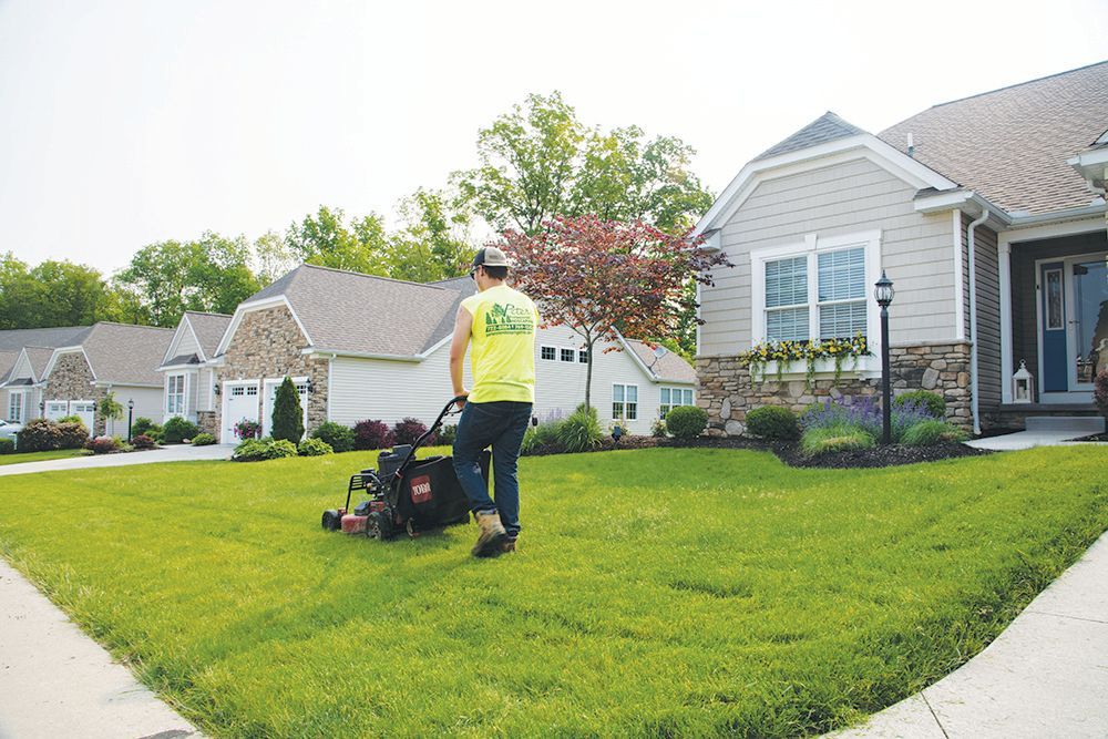 Man mowing a lush green lawn in front of suburban houses on a sunny day.