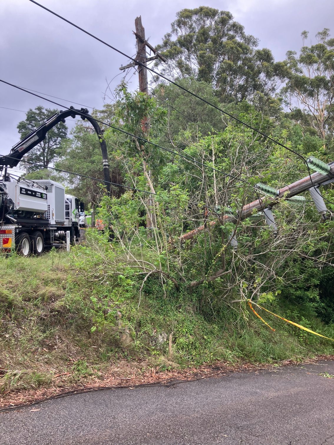 A truck is driving down a road next to a fallen tree.