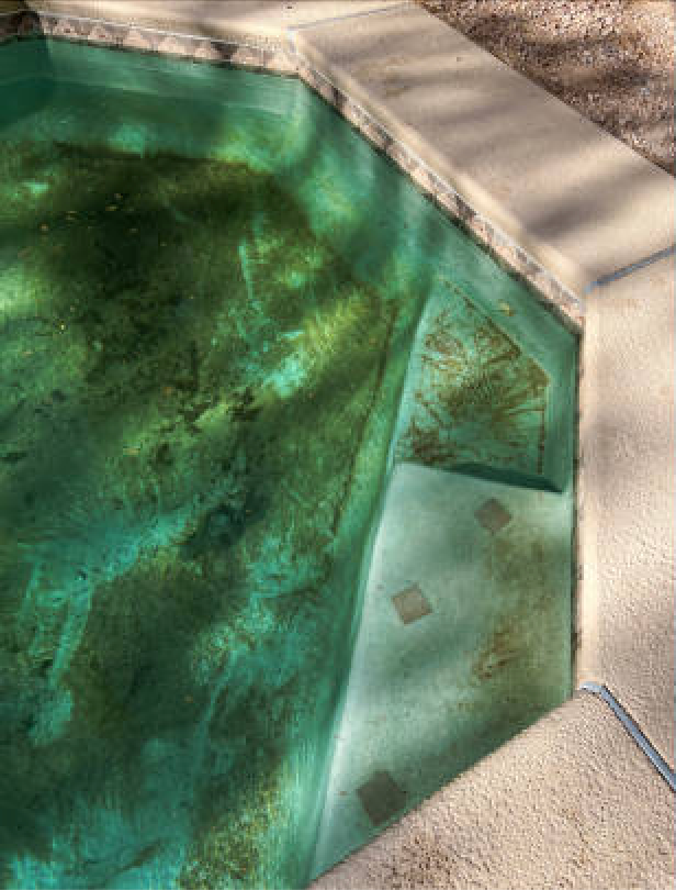 A swimming pool with a lot of algae growing on the side of it.