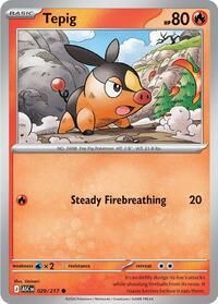 029 217 Tepig