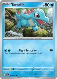 041 217 Totodile
