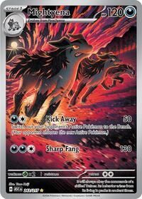 243 217 Mightyena