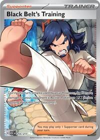 255 217 Black Belt's Training