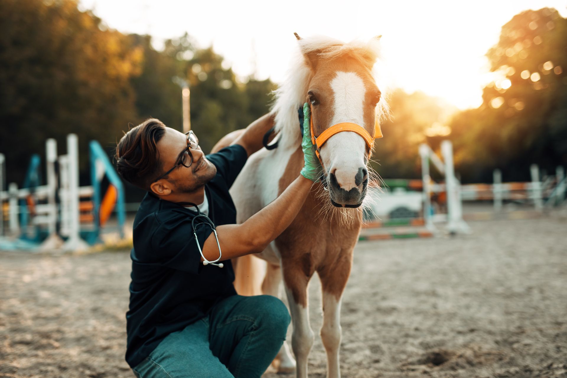 A man is kneeling down next to a small horse.