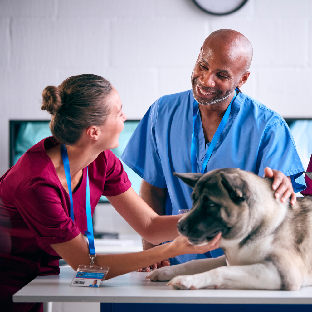 A man and a woman are petting a dog on a table.