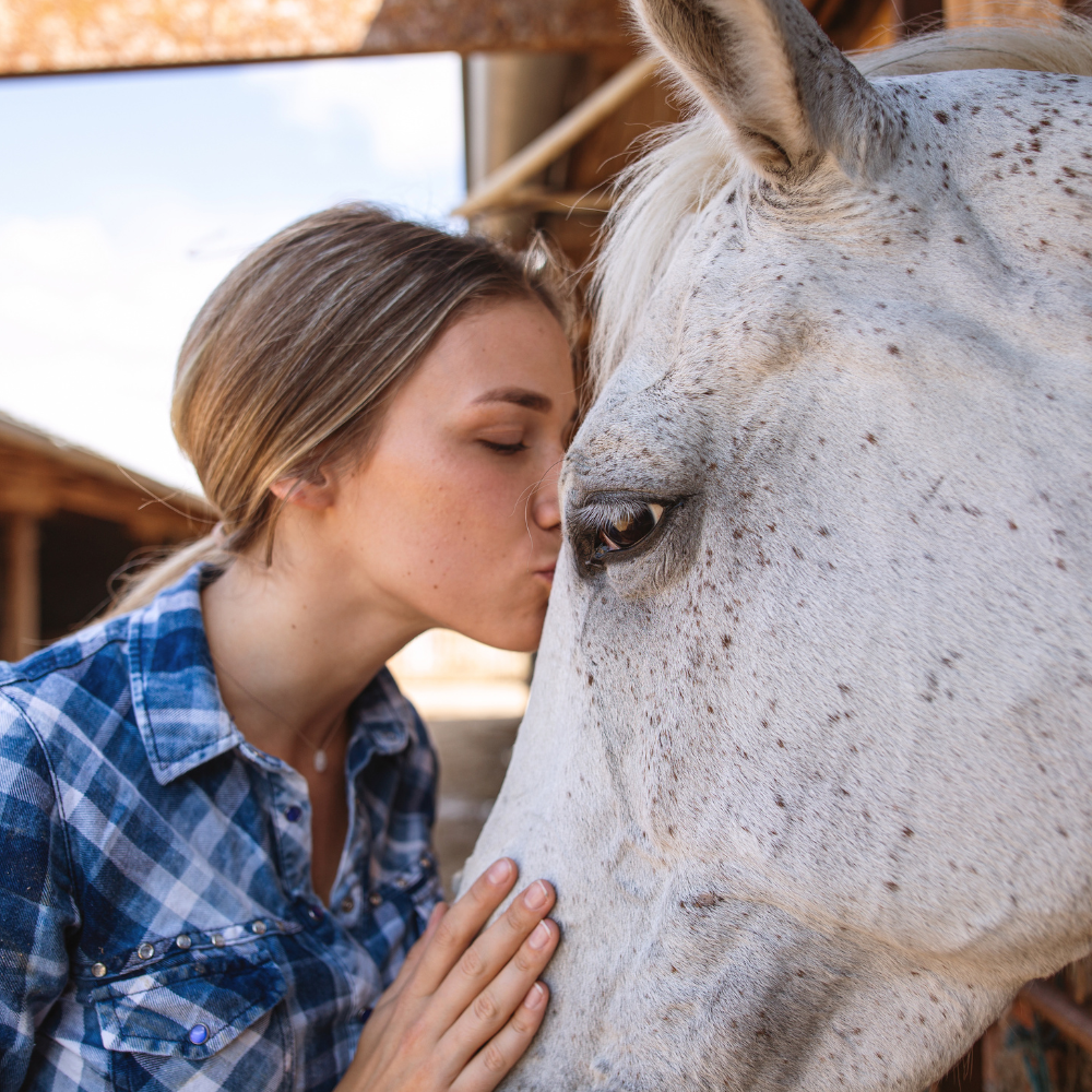 A woman is kissing a white horse on the nose