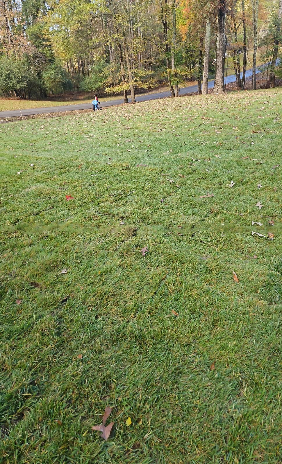 A large grassy field in a park with trees in the background.