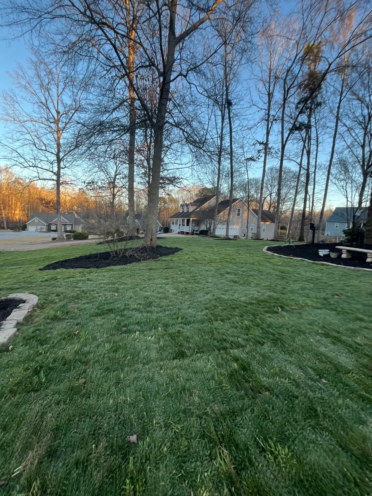 A lush green lawn with trees in the background and a house in the background.