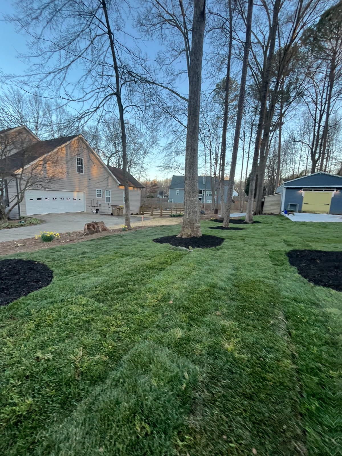 A lush green lawn in front of a house with trees in the background.