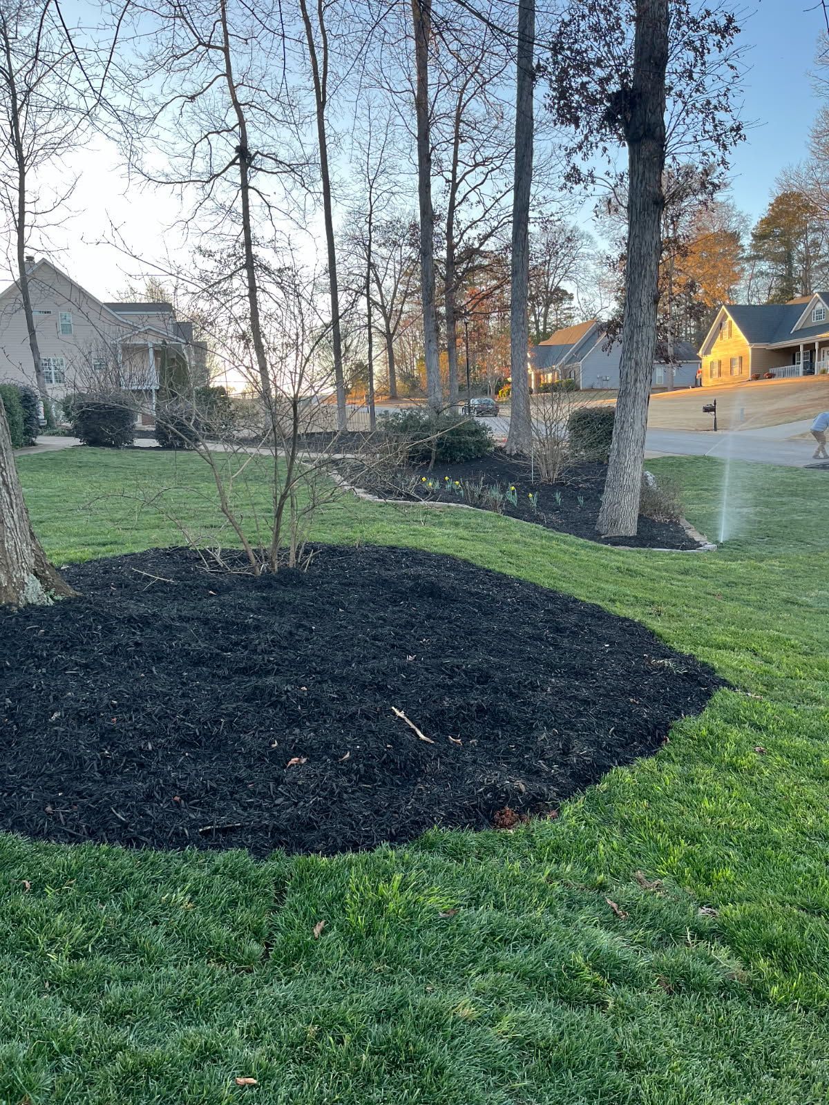 A large pile of black mulch is in the middle of a lush green lawn.