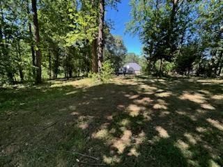 A house is sitting in the middle of a lush green forest.