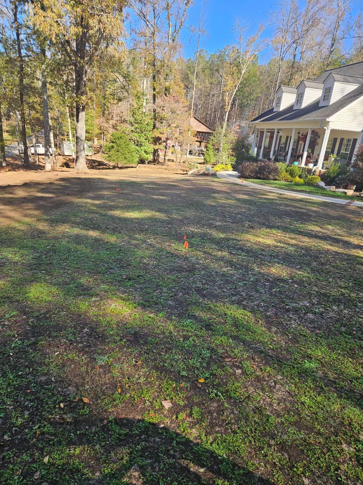A large lawn with new grass growing in frontof a house with trees in the background.