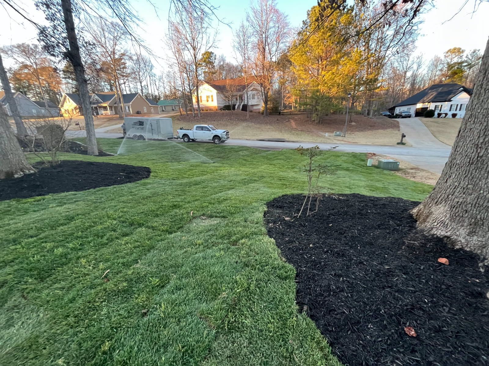 A white truck is parked in a grassy yard next to a tree.