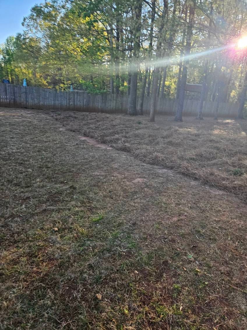 A fenced in yard with a path leading to it and trees in the background.