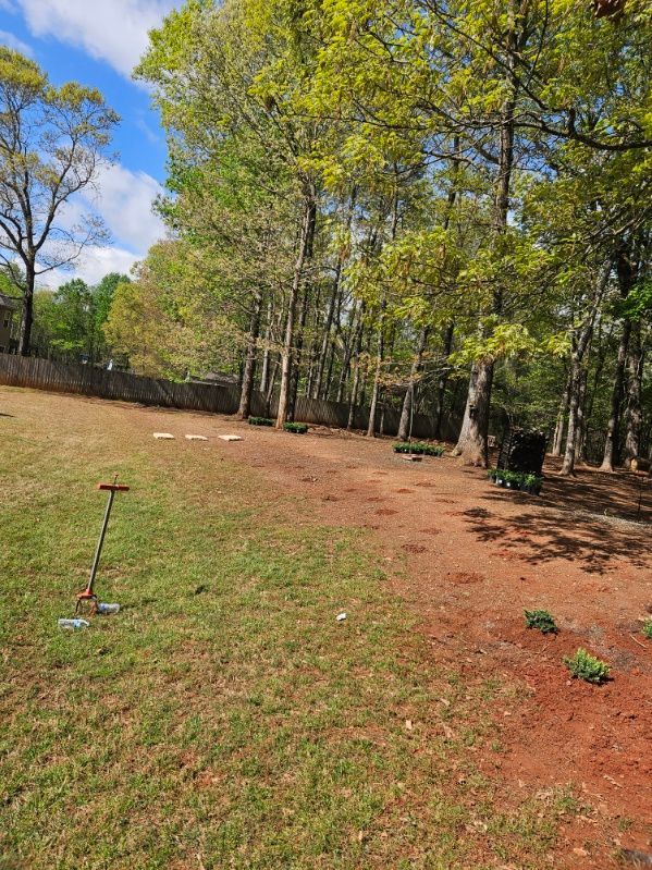 A field with trees and a fence in the background.