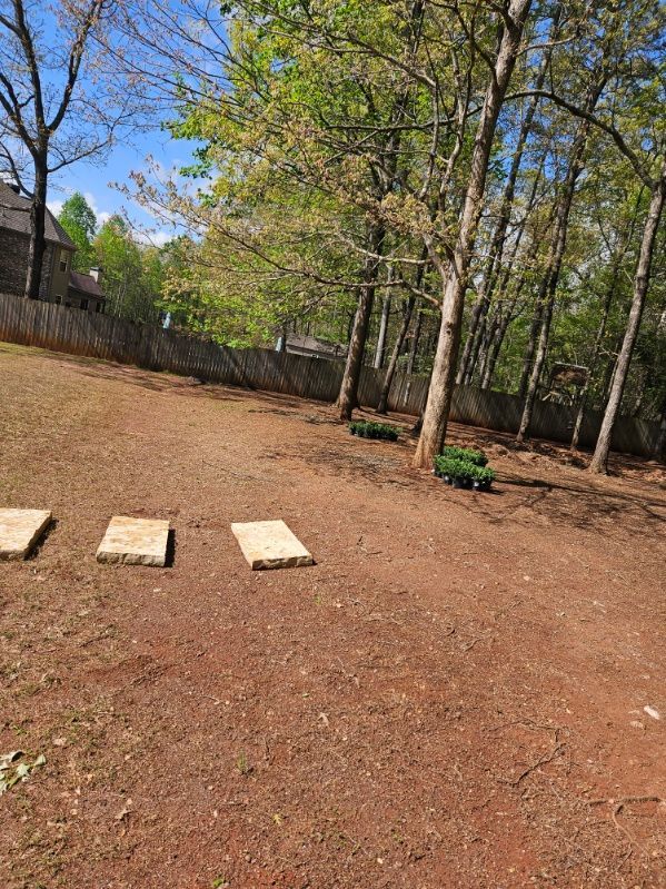 A dirt yard with a fence and trees in the background.