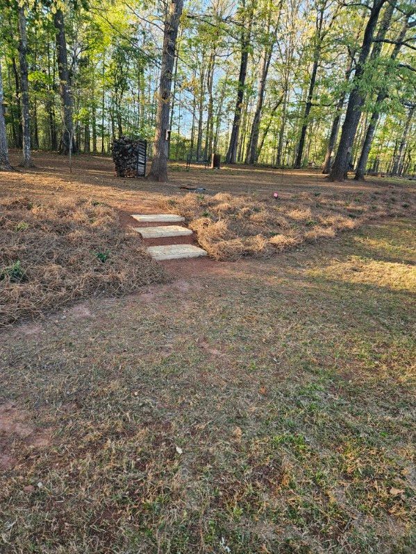 A path in the middle of a field with trees in the background.