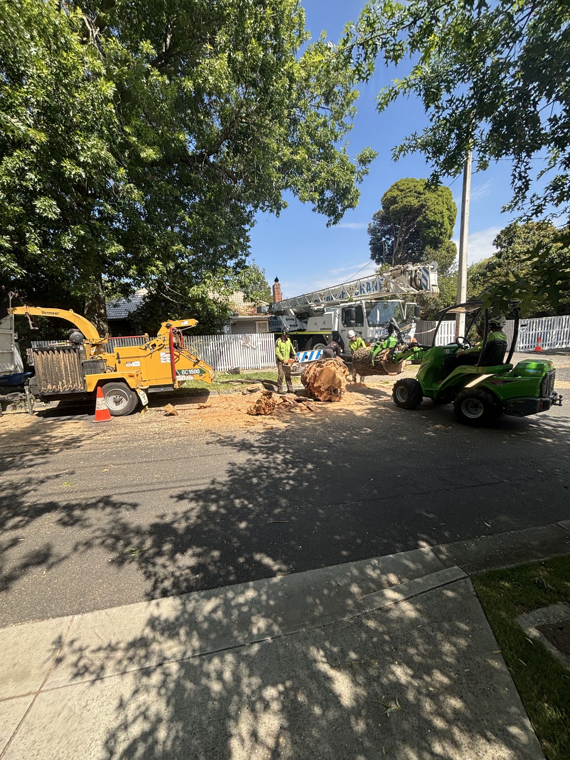 Parked construction equipment and a green utility vehicle beside trees on a sunny street.