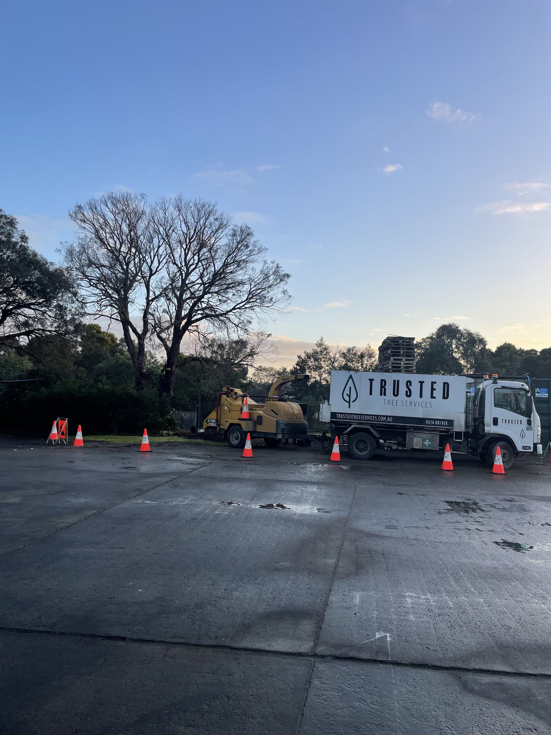 Trash truck and orange cones on a wet road at dusk near trees and a blue sky.