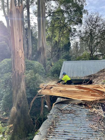Person in neon jacket clearing a fallen tree from a rooftop in a wooded area
