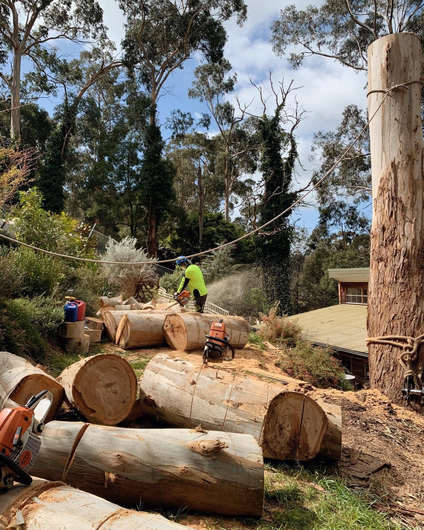 Worker cutting large fallen tree trunks beside a suburban yard, with chainsaws and stacked logs.