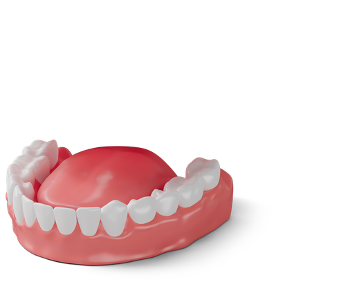 Un modèle de prothèse dentaire avec des dents blanches sur fond blanc