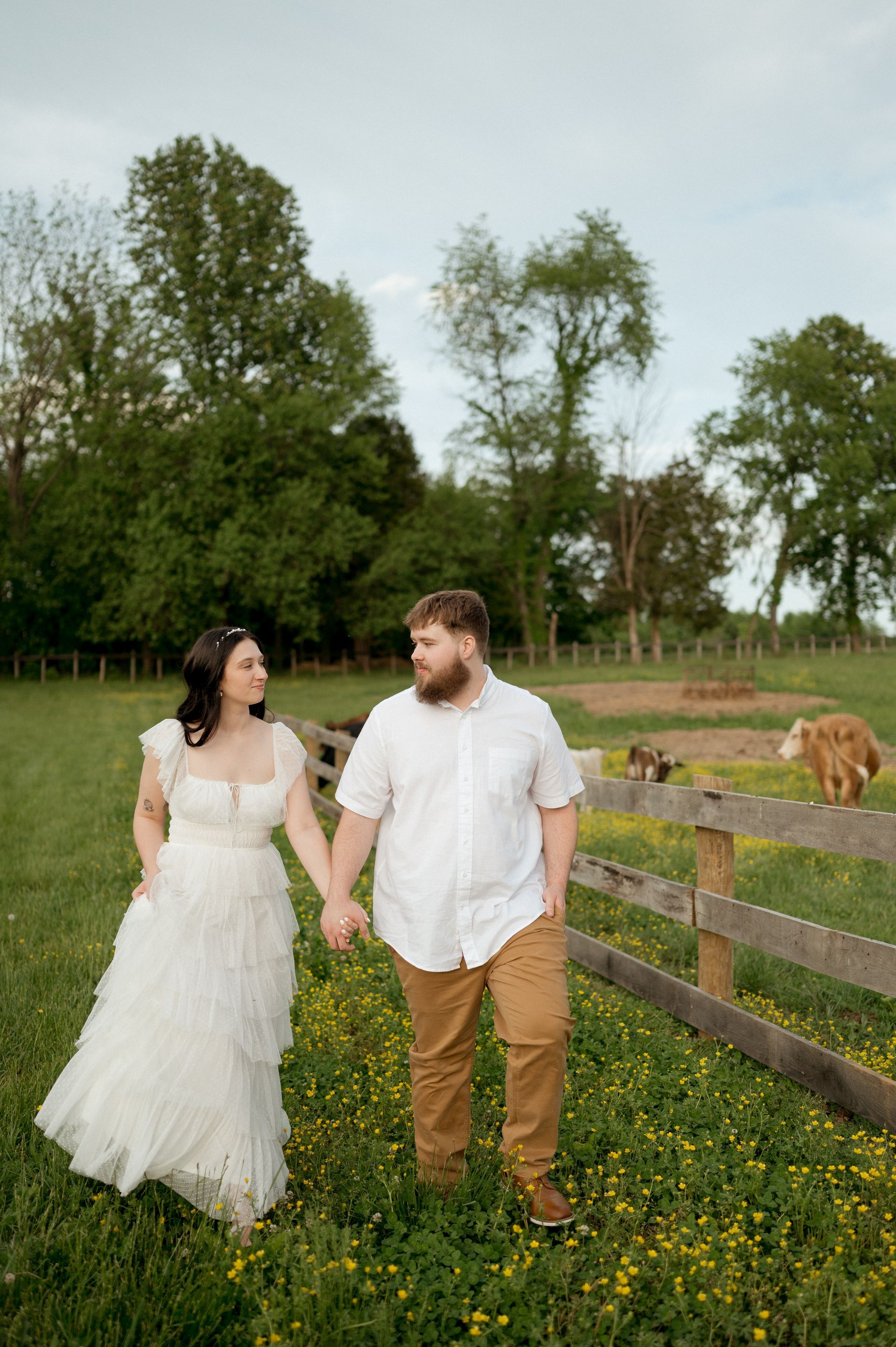 A bride and groom are holding hands in a field with cows in the background.