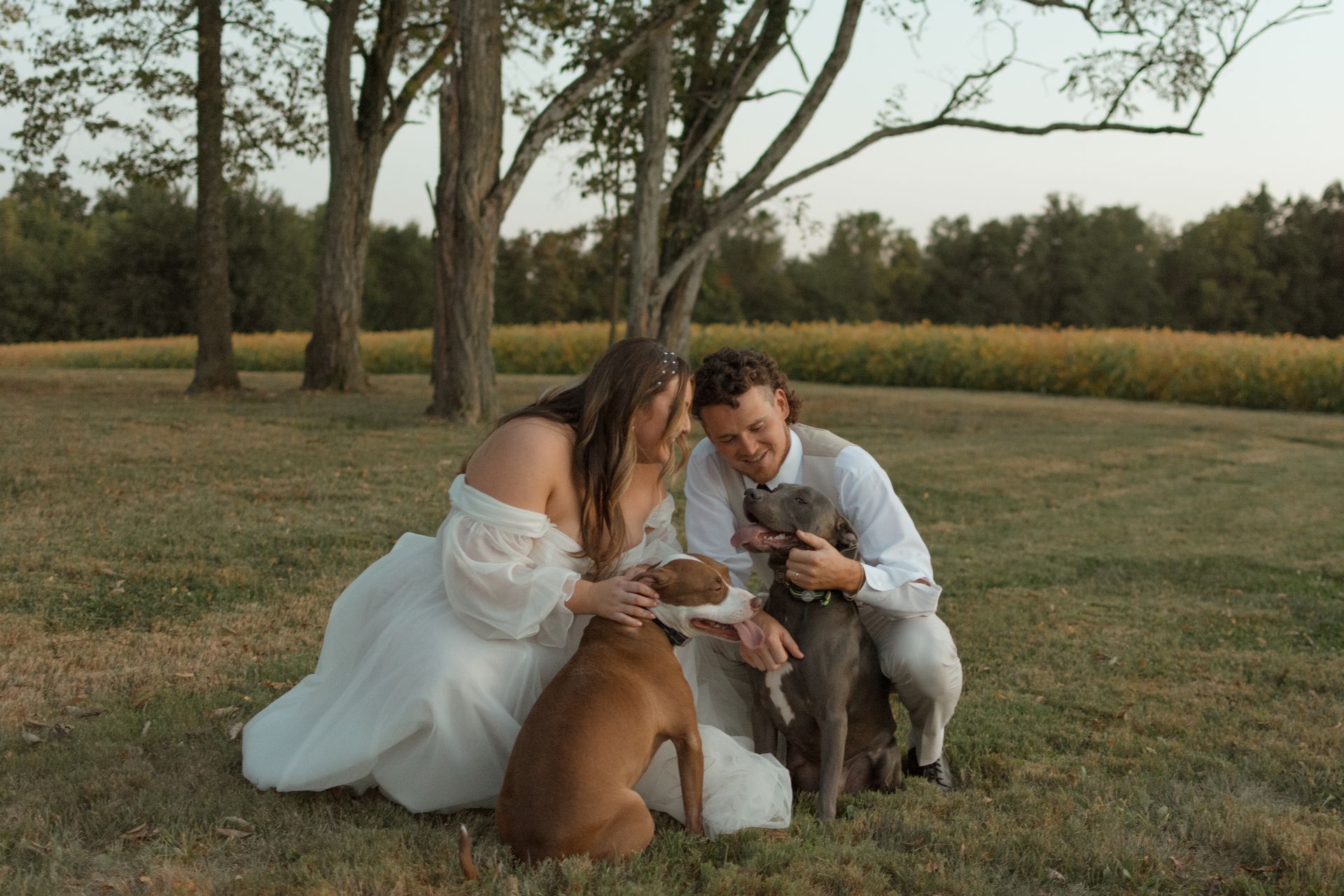 A bride and groom are sitting in the grass with their dogs.