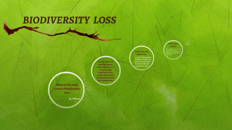 Biodiversity