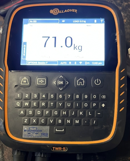 A black and orange device that says 71.0kg on the screen