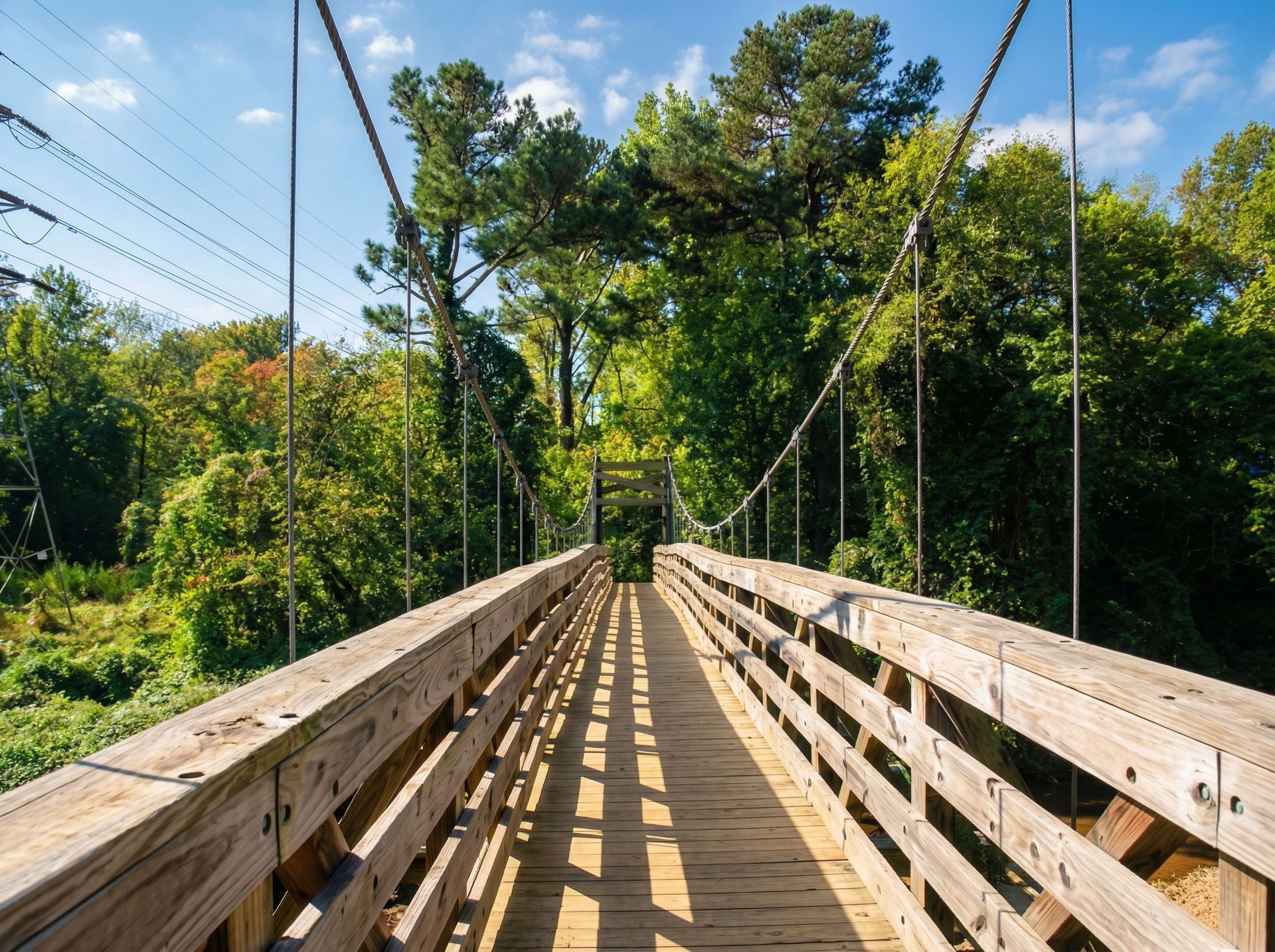 A wooden suspension bridge leads into a sunlit forest, with tall trees and cables stretching into the distance.