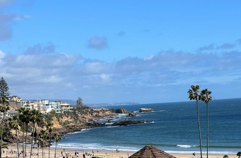 A view of a beach with palm trees in the foreground