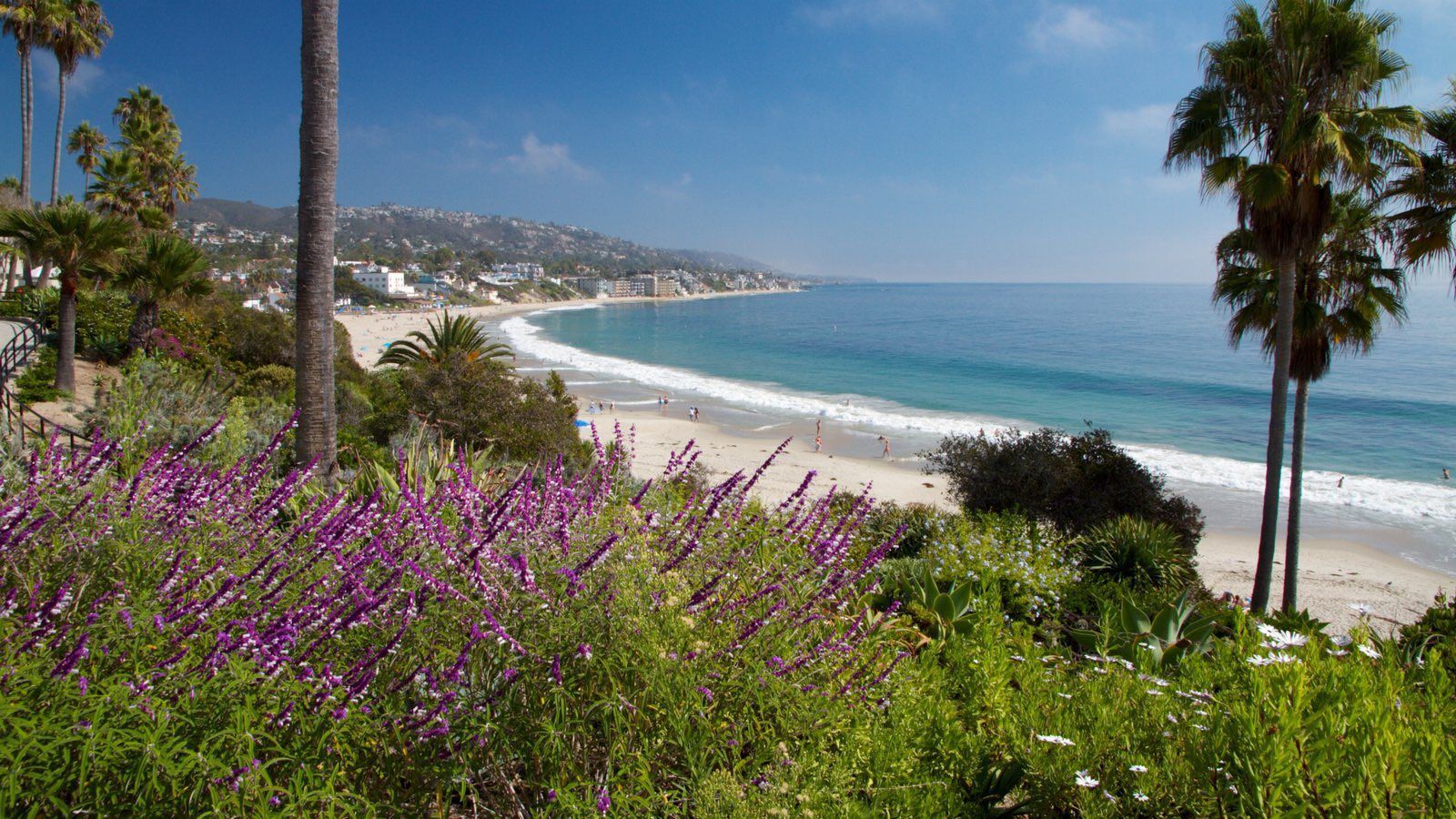A beach with palm trees and purple flowers in the foreground