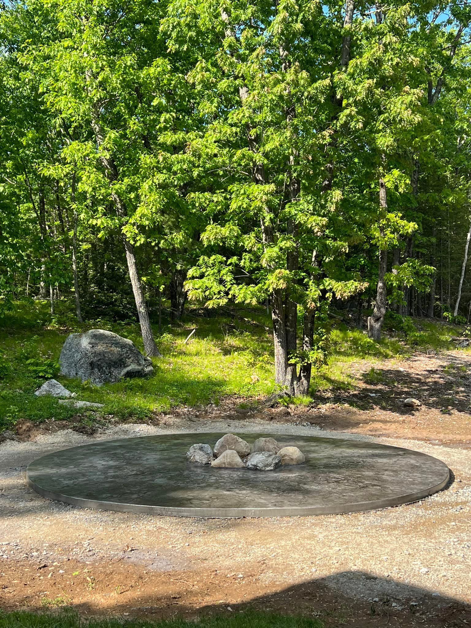 A large rock in the middle of a forest with trees in the background.