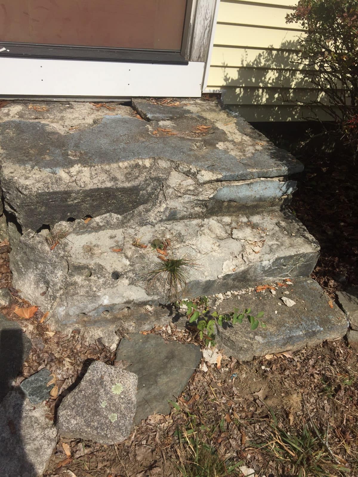 A set of stone steps leading up to a house.