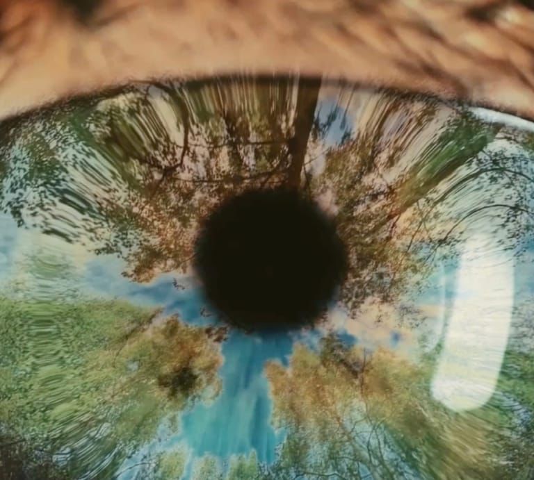 Un primer plano del ojo de una persona con árboles reflejados en él.
