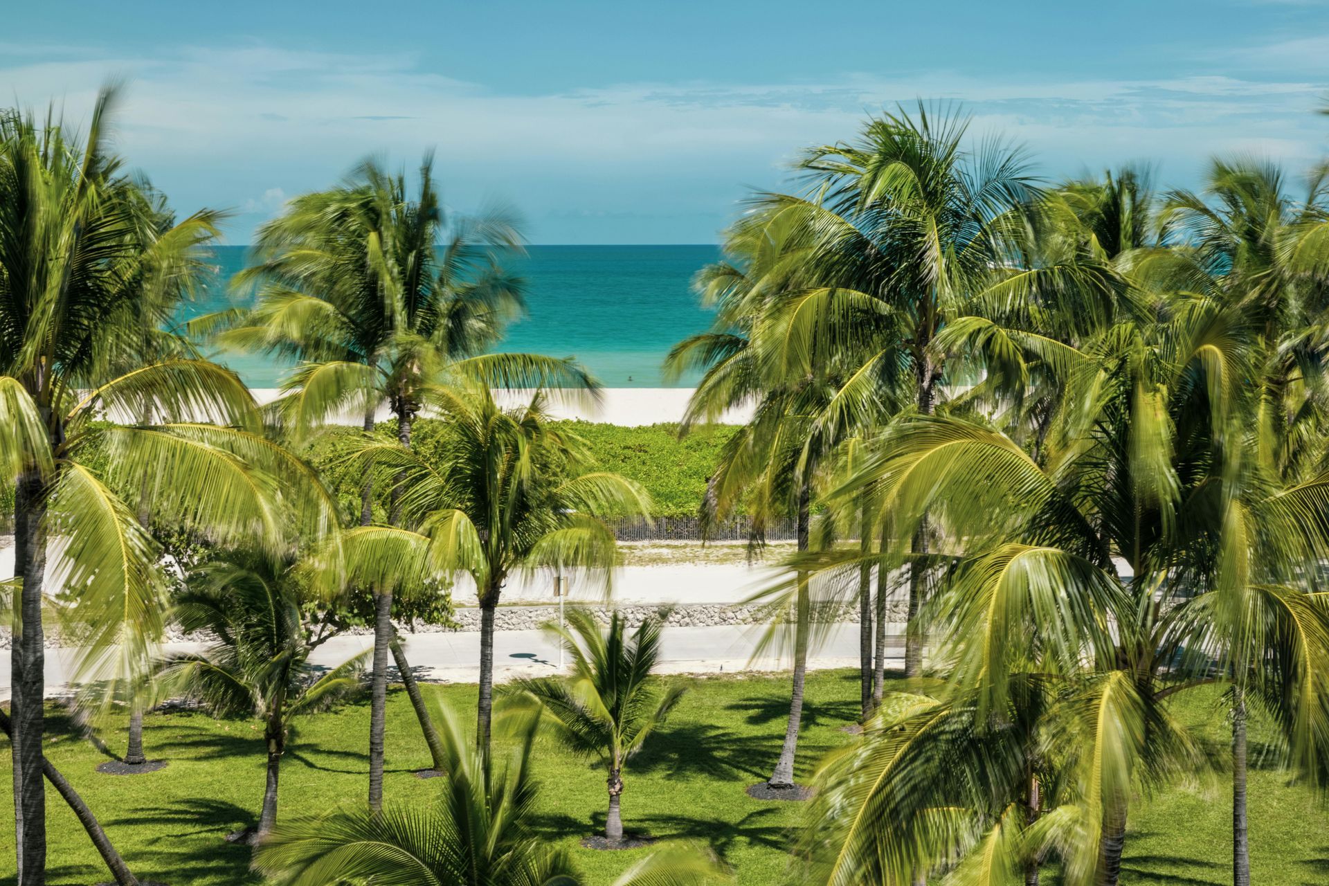 Tropical beach with turquoise ocean, white sand, and palm trees under a clear sky