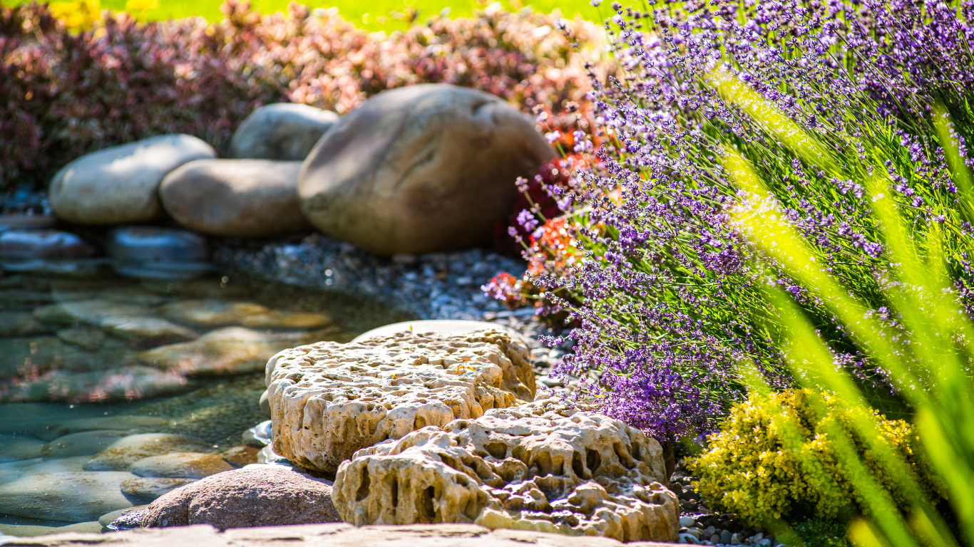 There is a pond in the middle of the garden with rocks and flowers.