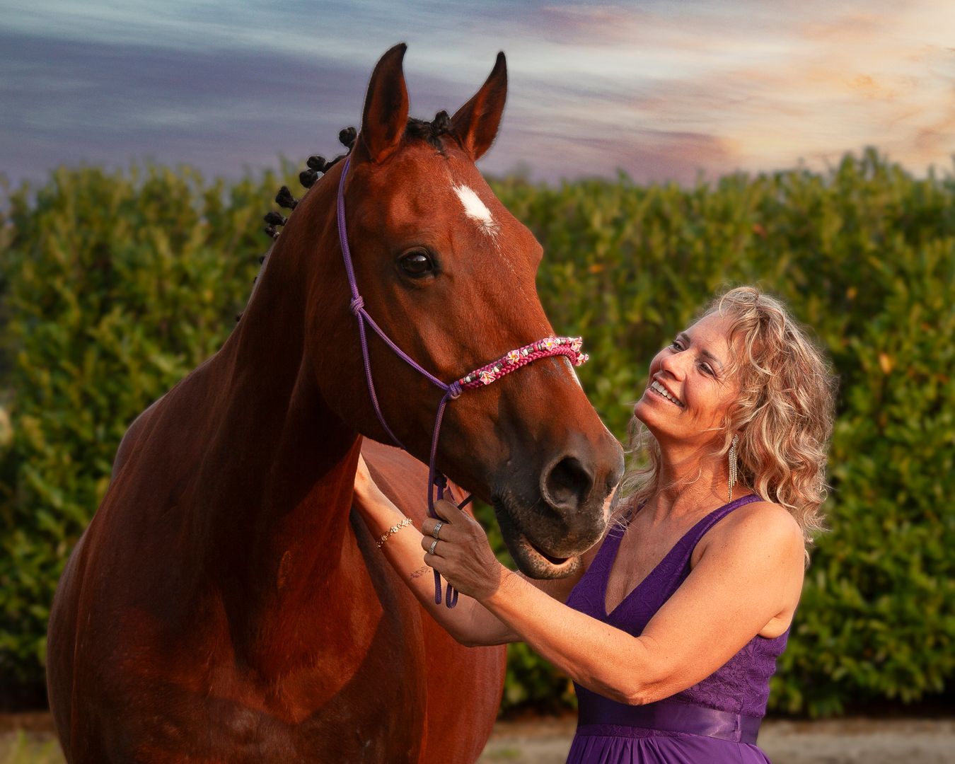 Een vrouw in een paarse jurk raakt liefdevol het halster van een bruin paard aan, tegen een achtergrond van groene hagen.