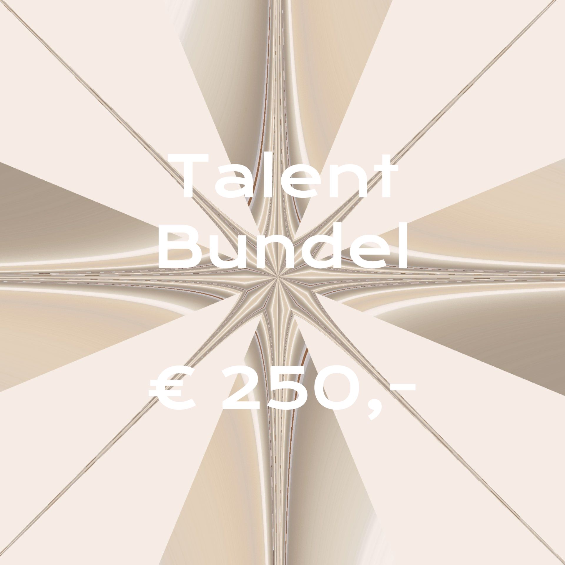 Een poster met daarop Talentbundel 250 euro
