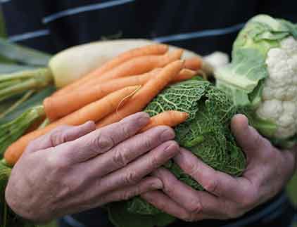 Vegetables in hand - Produce Market in San Bernardino, CA