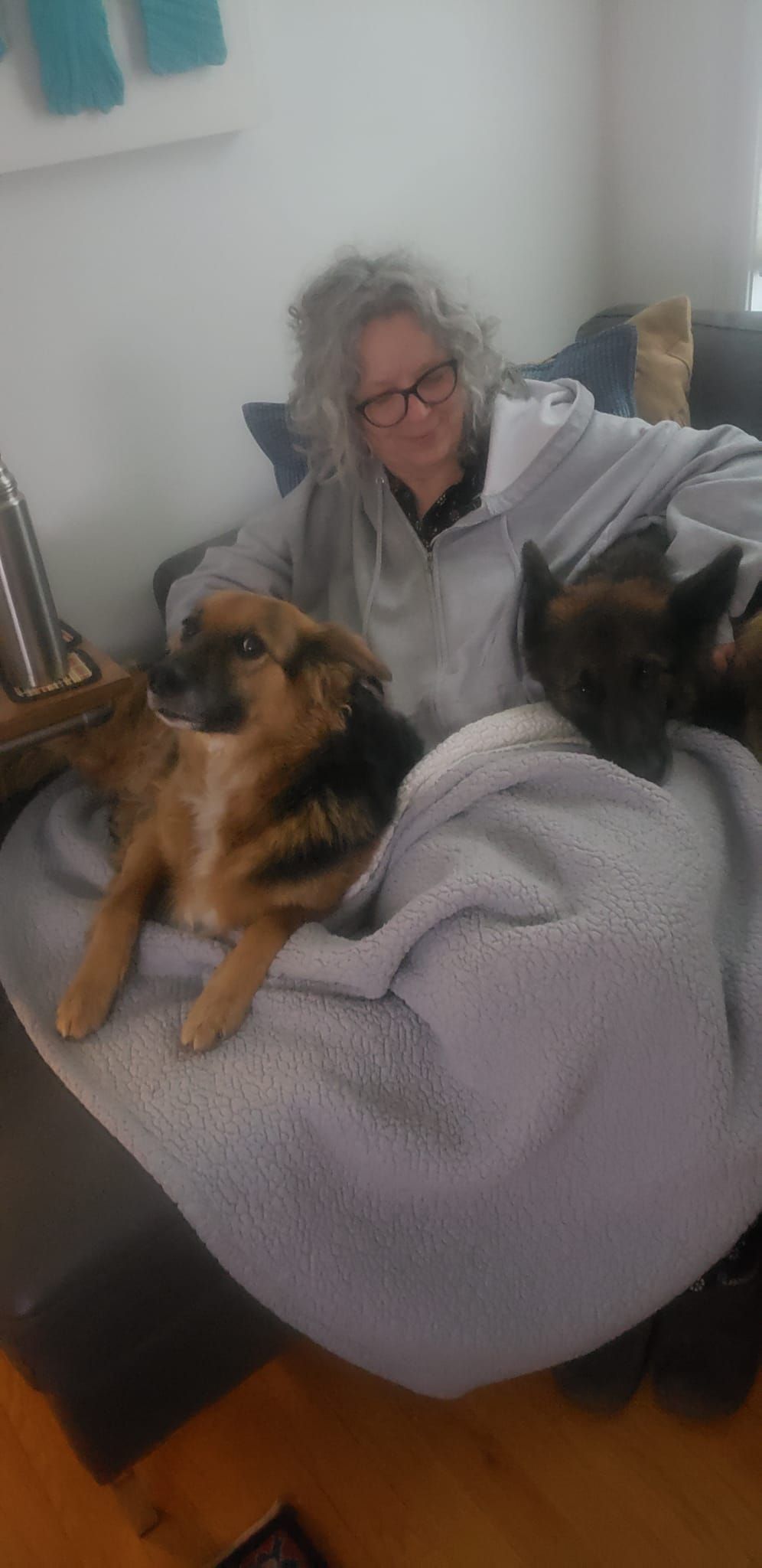 Woman wearing glasses sits on a couch, covered with a blanket, and surrounded by two dogs.