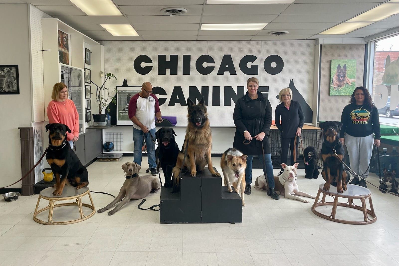 People and dogs at a dog training business, with a large 