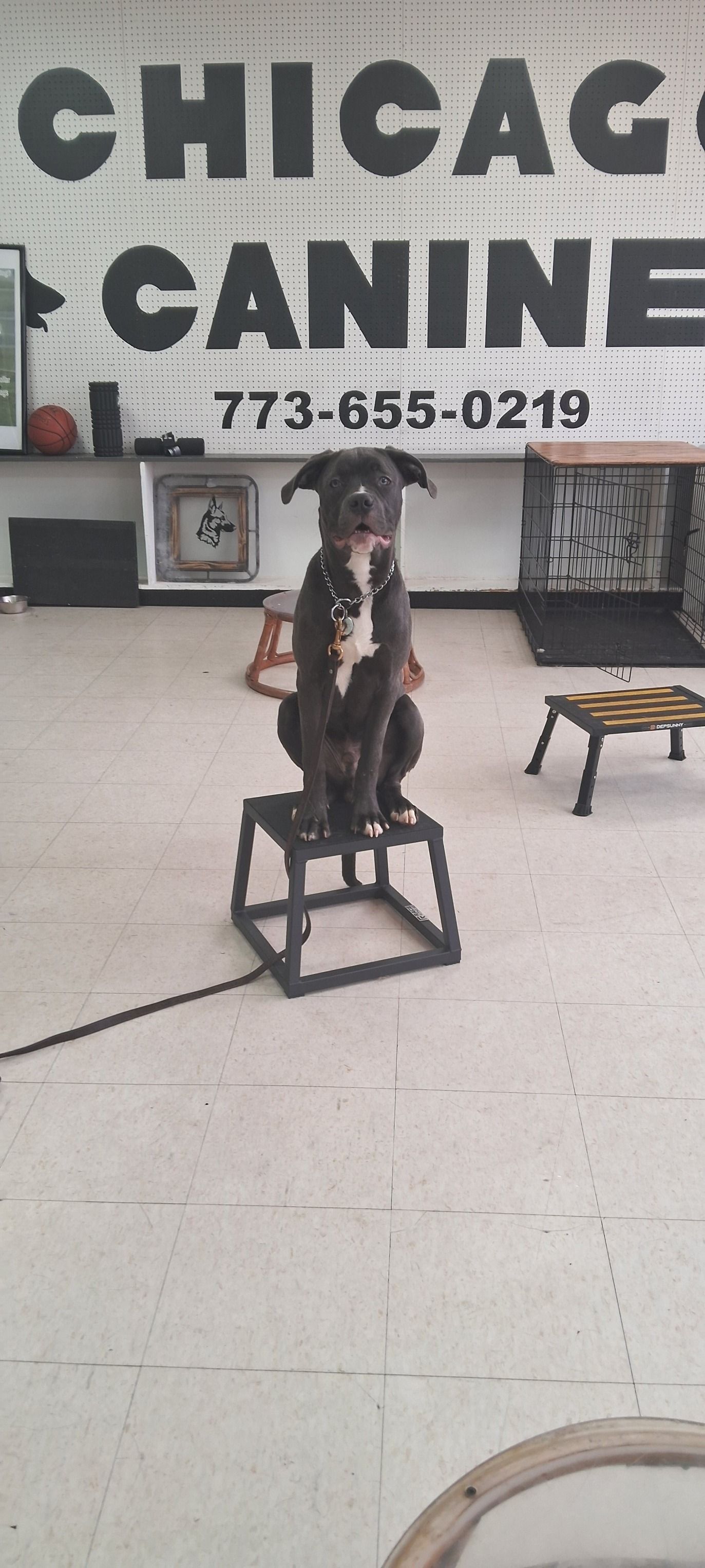 An aerial view of a large wave in the ocean.