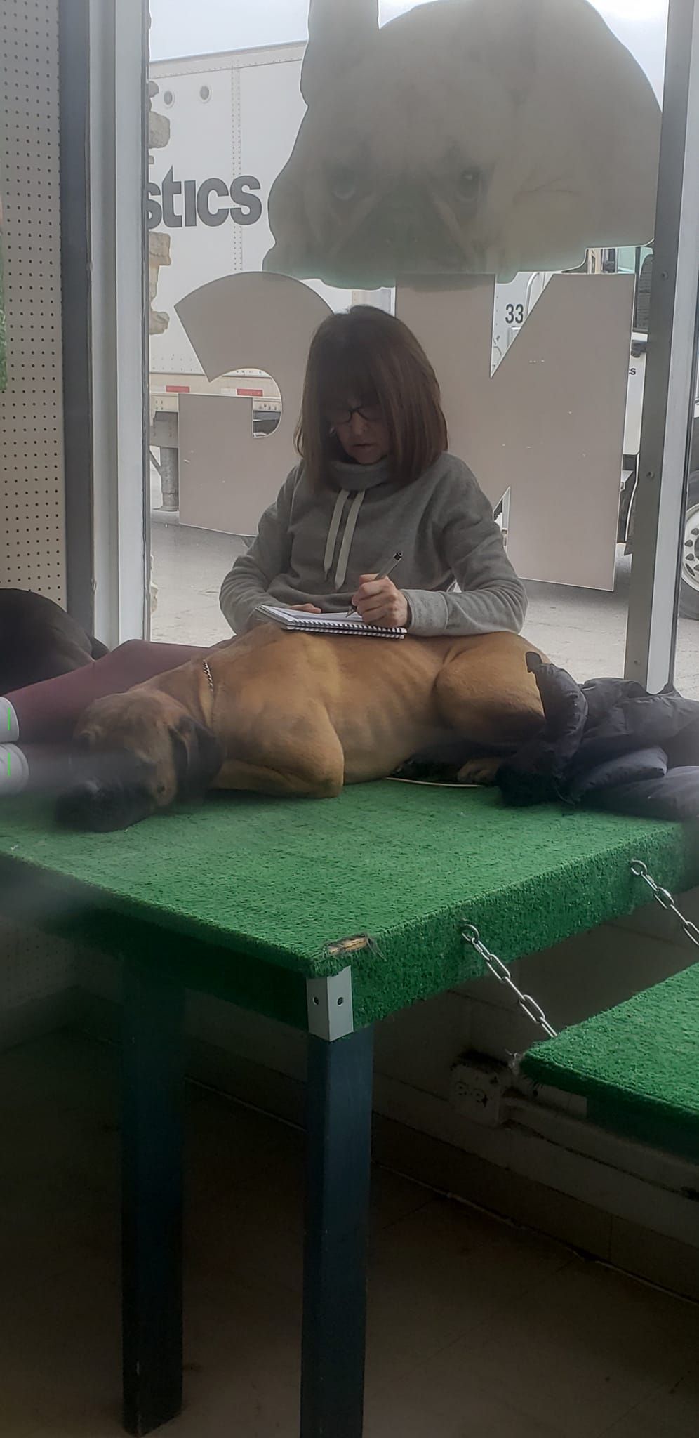 A person sits, writing, with a dog lying on a green surface table. Behind them is a window.